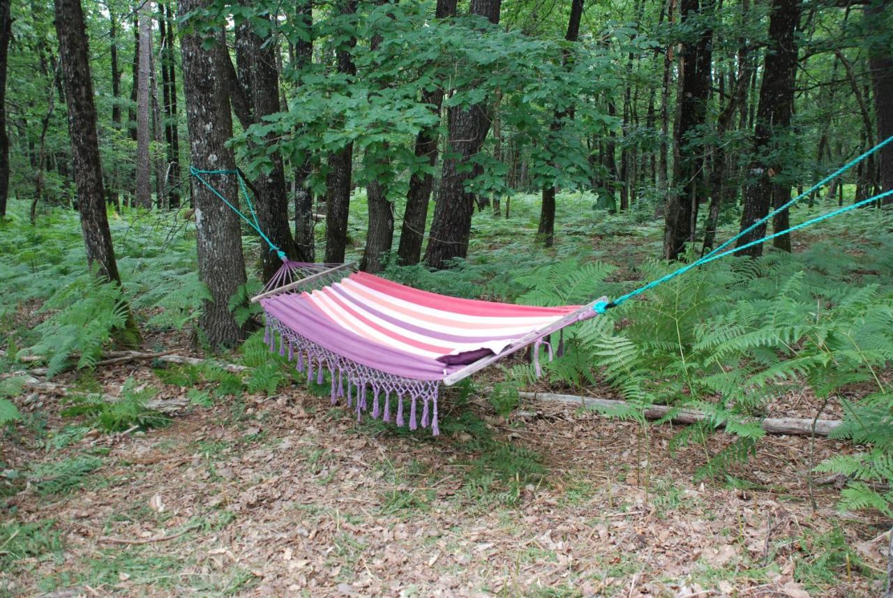 Camping Bois De St Hilaire Chalandray Exterior photo